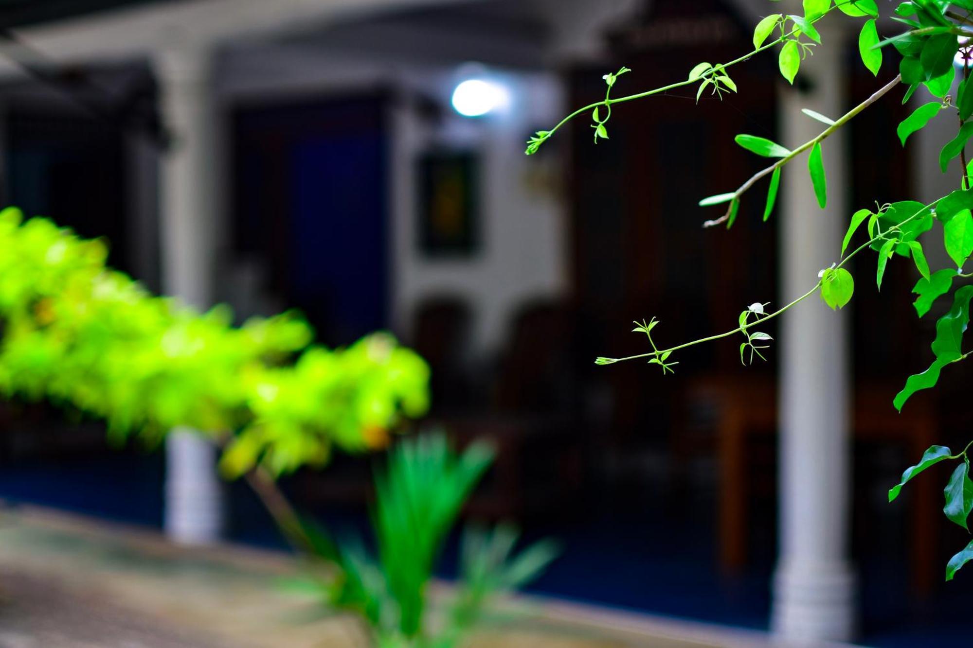Tourist Holiday Inn ダンブッラ エクステリア 写真